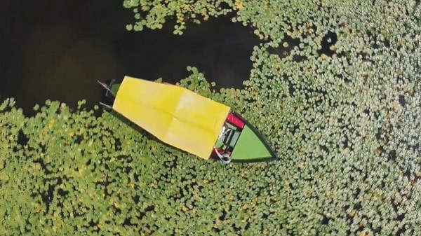 Göl adeta çiçek bahçesine döndü