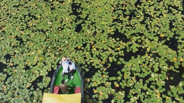 Foto - Göl adeta çiçek bahçesine döndü