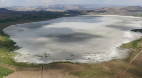Foto - Göl kurudu kuşların göçü başladı