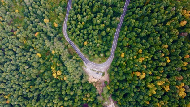 Foto - Gölcük Tabiat Parkı, misafirlerini sonbahar renkleriyle karşılıyor