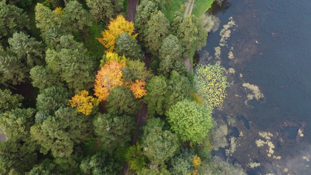 Foto - Gölcük Tabiat Parkı, misafirlerini sonbahar renkleriyle karşılıyor