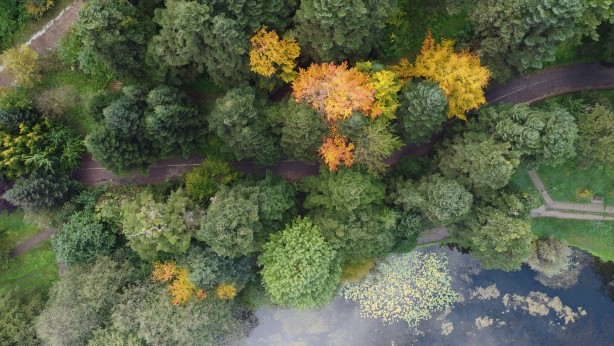Foto - Gölcük Tabiat Parkı, misafirlerini sonbahar renkleriyle karşılıyor