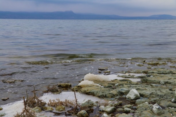 Foto - Gölde şaşırtan görüntü