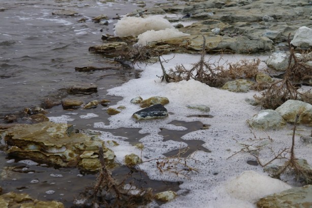 Foto - Gölde şaşırtan görüntü