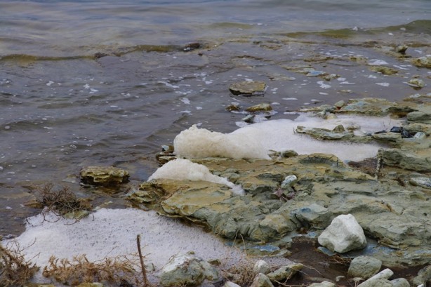 Gölde şaşırtan görüntü