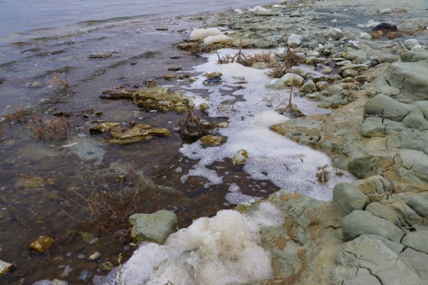 Foto - Gölde şaşırtan görüntü