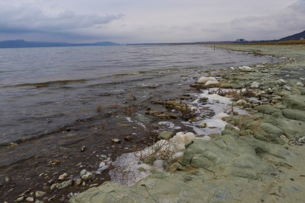 Foto - Gölde şaşırtan görüntü