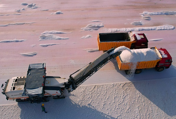 Gölden hasat ediliyor! 60 ülkeye gönderiliyor
