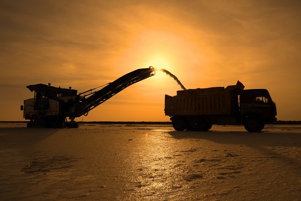 Foto - Gölden hasat ediliyor! 60 ülkeye gönderiliyor