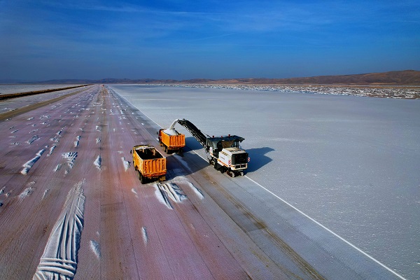 Foto - Gölden hasat ediliyor! 60 ülkeye gönderiliyor