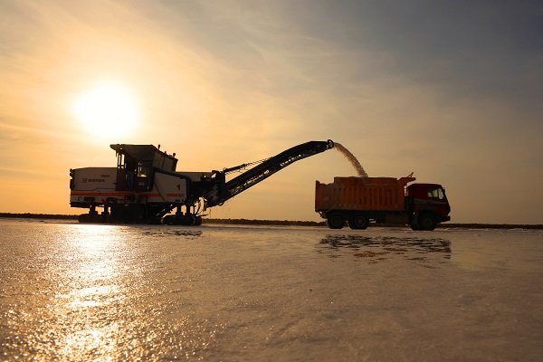 Foto - Gölden hasat ediliyor! 60 ülkeye gönderiliyor