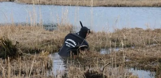 Foto - Gölette145 uçaksavar mühimmatı bulundu