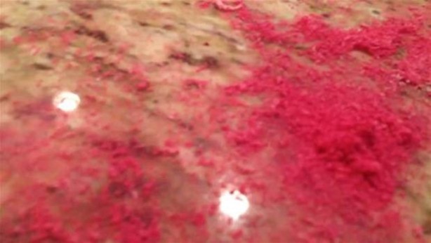 Foto - Golf topunun içinden bakın ne çıktı!