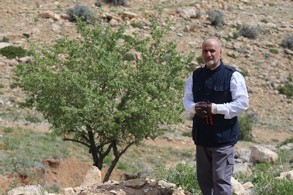 Foto - Gölge bulamayınca iş başa düştü! 