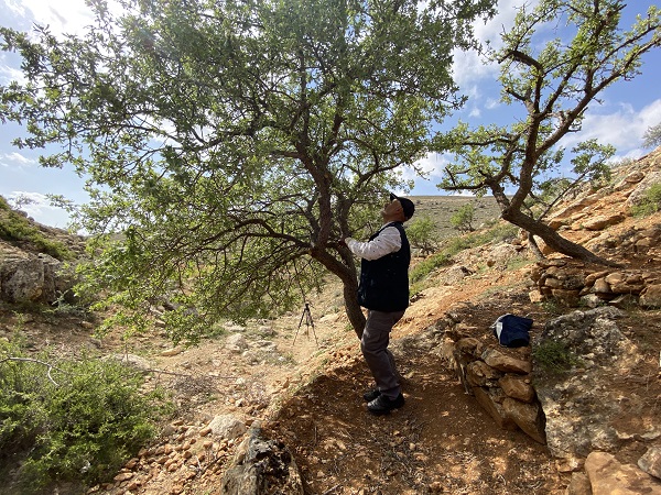 Foto - Gölge bulamayınca iş başa düştü! 