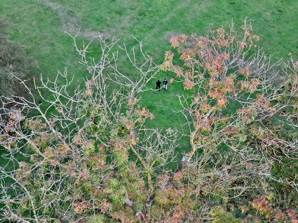 Foto - Gölyaka Kültür Park'ta sonbahar renkleri