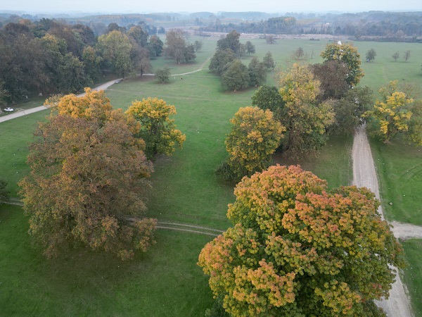 Foto - Gölyaka Kültür Park'ta sonbahar renkleri