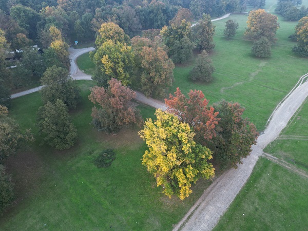 Foto - Gölyaka Kültür Park'ta sonbahar renkleri