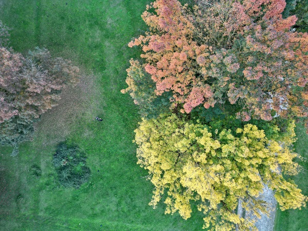 Gölyaka Kültür Park'ta sonbahar renkleri