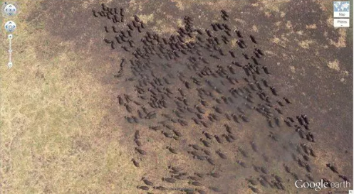 Foto - Google Earth’ün rolü ne? Duyanları bile şaşırtan birbirinden ilginç suç duyuruları