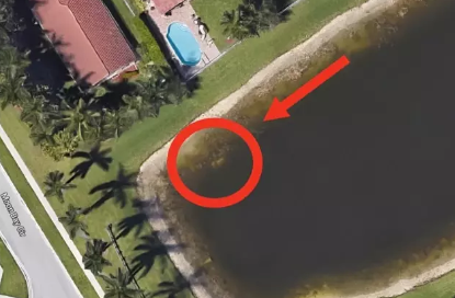 Foto - Google Earth’ün rolü ne? Duyanları bile şaşırtan birbirinden ilginç suç duyuruları