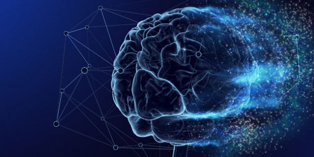 Foto - Google, Elon Musk’ın yapay zekasına rakip oluyor