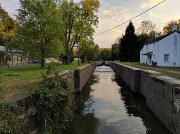 Foto - Kamerasıyla iPhone 7 ve S7 Edge'yi ezdi geçti!