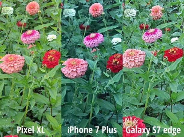 Kamerasıyla iPhone 7 ve S7 Edge'yi ezdi geçti!