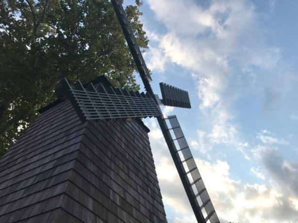 Foto - Kamerasıyla iPhone 7 ve S7 Edge'yi ezdi geçti!