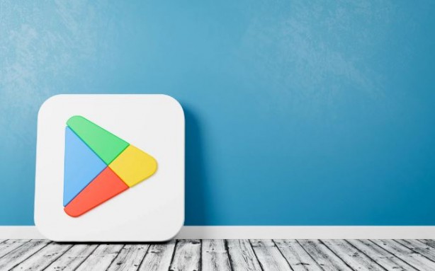 Foto - Google'a milyonluk dava