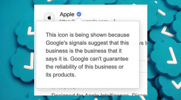 Foto - Google'dan devrim niteliğinde karar: Mavi tikli web siteler geliyor!