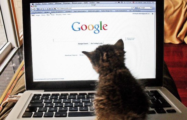 Foto - Google'dan Yeni güvenlik önlemi! Dolandırıcılara karşı yeni yöntem