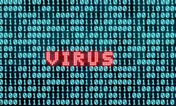 Foto - Google'ın bile zor baş ettiği virüs geri döndü