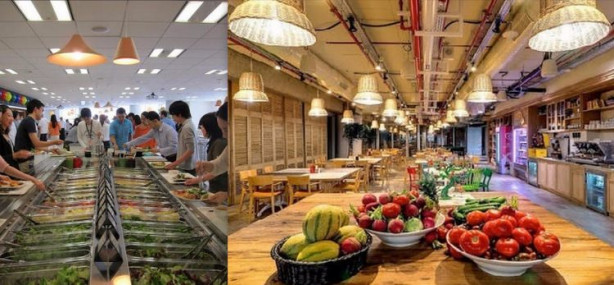 Foto - Google'ın tasarım harikası ofisleri