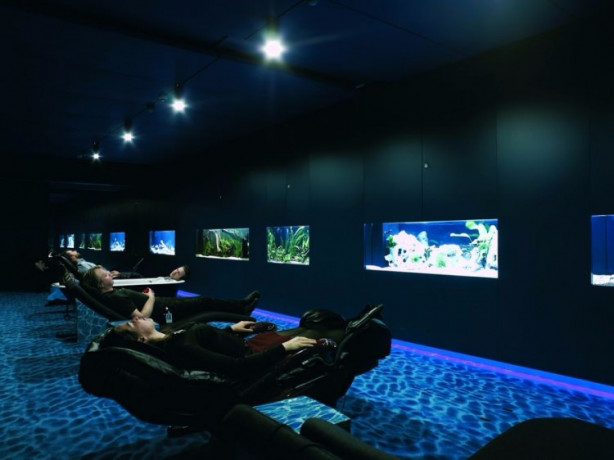 Foto - Google'ın tasarım harikası ofisleri