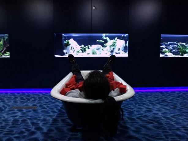 Foto - Google'ın tasarım harikası ofisleri