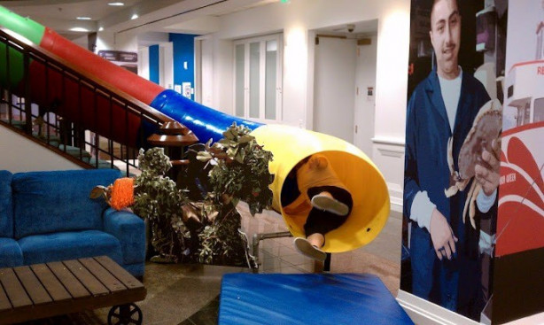 Foto - Google'ın tasarım harikası ofisleri