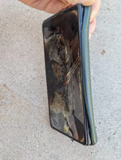 Foto - Google’ın ucuz telefonu cepte değil, elde patladı! 