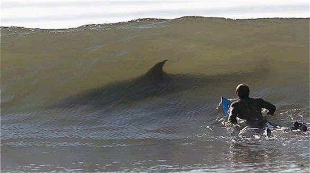 Foto - Gördüğünüz her şeye inanmayın!