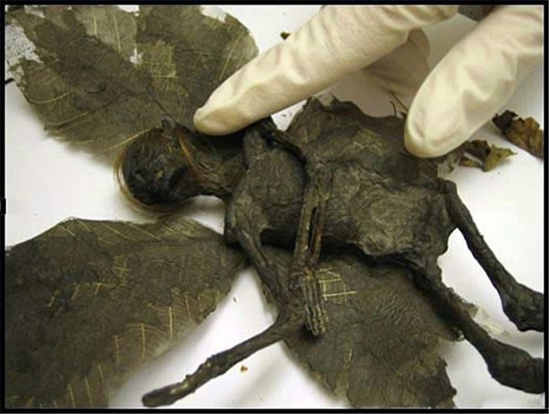 Foto - Gördüğünüz her şeye inanmayın!