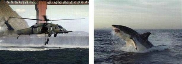 Foto - Gördüğünüz her şeye inanmayın!