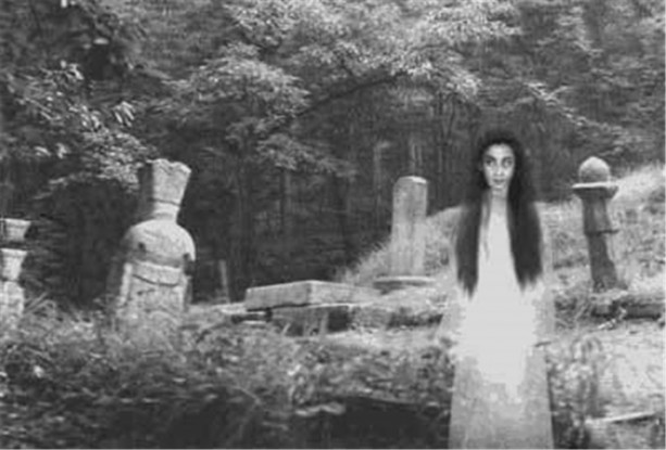 Foto - Gördüğünüz her şeye inanmayın!