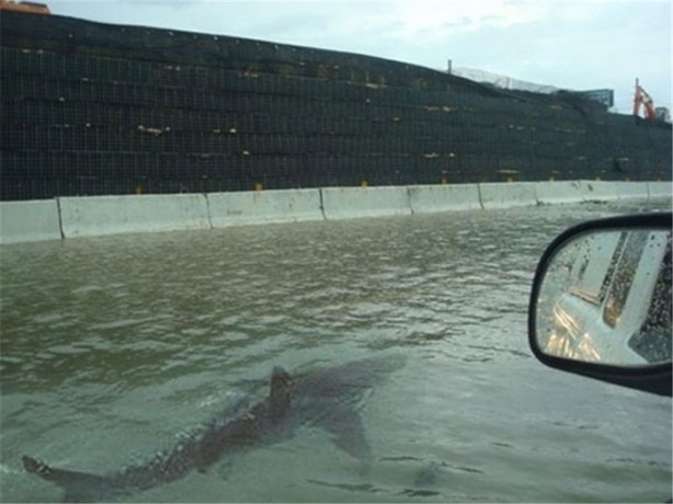 Foto - Gördüğünüz her şeye inanmayın!