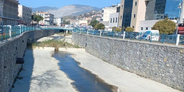 Foto - Gördüğünüz yerde vurun! Asya üzerinden sürüyle geliyorlar: Aman dikkat, bir ısırığı bile hayatınızı karartabilir