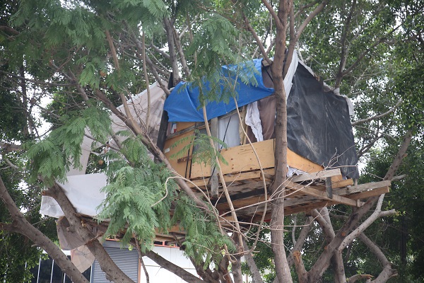Foto - Gören dönüp bir daha bakıyor! Kuş yuvasına benziyor ama... 