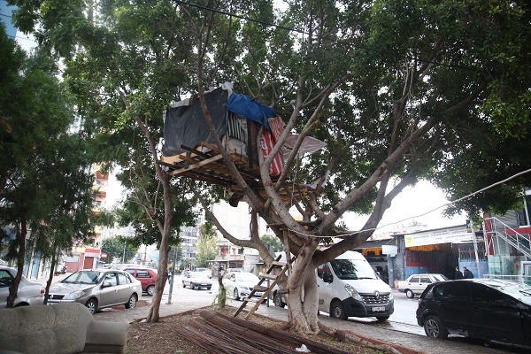 Foto - Gören dönüp bir daha bakıyor! Kuş yuvasına benziyor ama... 