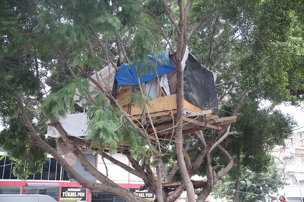 Gören dönüp bir daha bakıyor! Kuş yuvasına benziyor ama... 