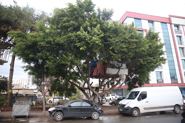 Foto - Gören dönüp bir daha bakıyor! Kuş yuvasına benziyor ama... 