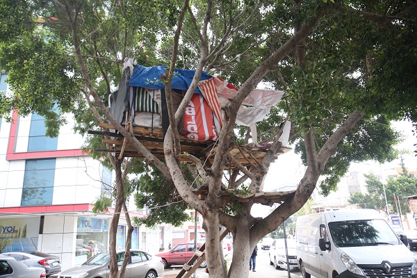 Foto - Gören dönüp bir daha bakıyor! Kuş yuvasına benziyor ama... 
