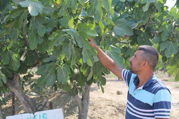 Foto - Gören dönüp tekrar baktı | Bahçesine öyle bir not astı ki! 